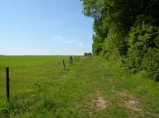 DSCN0109.JPG